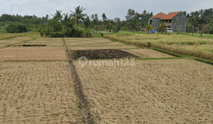 Land for sale in Tanah Lot - Tabanan, Bali, Tabanan 755 m² 2