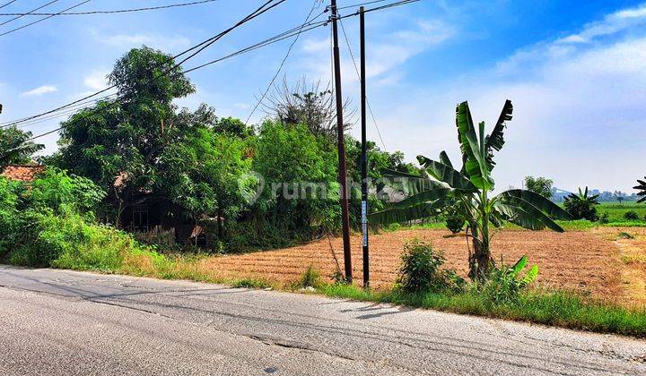Tanah Pinggir Jalan Raya Butuh Cepat !! 1