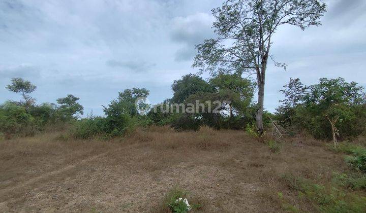 Lelang Tanah Gresik Di Bungah Di Raya Bungah Dukun 2