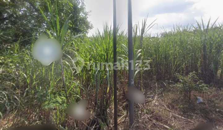 Jual Tanah Mojokerto di Dawarblandong di Tanah Kemuning