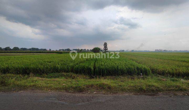 Tanah Lelang Jombang Di Sumobito Di Desa Plemahan 1