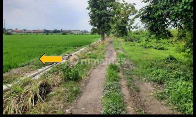 lelang tanah jombang di mojoagung di kelurahan gambiran 1