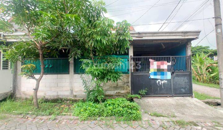 Lelang Rumah Gresik Di Driyorejo Di Perum Tni Al 1