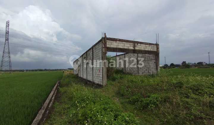 Jual Tanah Mojokerto di Bangsal di Desa Pacing Jual Tanah Mojokerto di Bangsal di Desa Pacing