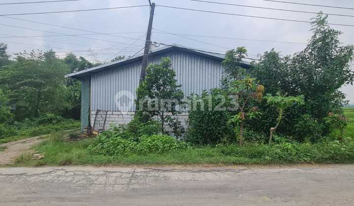 0217.72 Jombang Auction Land in Kabuh at Banjardowo Village Land