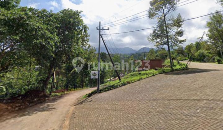 0113.84 Land Auction Jombang in Wonosalam in Wonosalam Village Land 0113.84 Land Auction Jombang in Wonosalam in Wonosalam Village Land