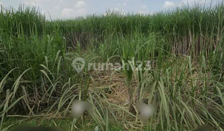 Jual Tanah Mojokerto di Jetis di Raya Sidorejo Jual Tanah Mojokerto di Jetis di Raya Sidorejo