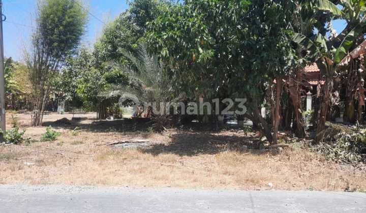 1223.110(b) Gresik Auction House in Kebomas on Pioneer Land