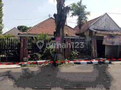 0409.26(C) Lumajang Auction House Begawan Solo