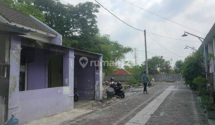 Asep Lelang Gresik Di Driyorejo Di Puri Amerta Regency 2