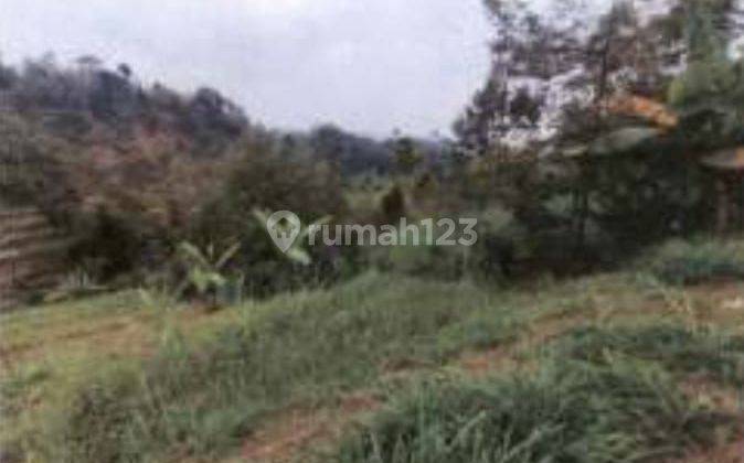 Lelang Aset Jombang Di Wonosalam Di Dusun Ayamoro 1