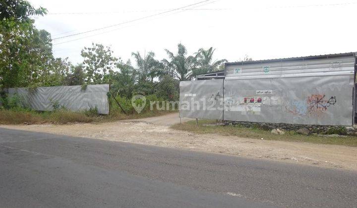 tanah lelang gresik di bungah di raya bungah dukun 1