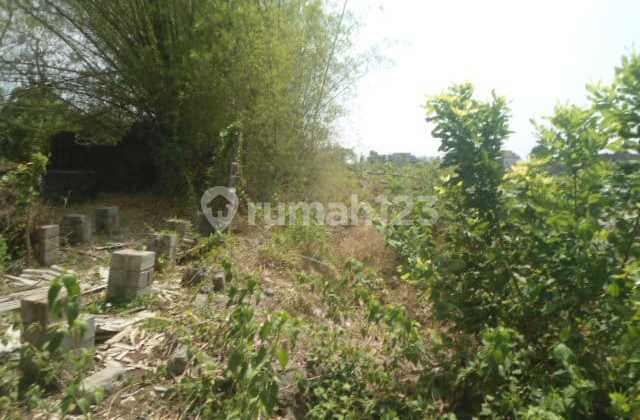 0306.58(Wh) Kediri Shop House Auction in Tarokan on Kediri-Nganjuk Main Road Shop House 2