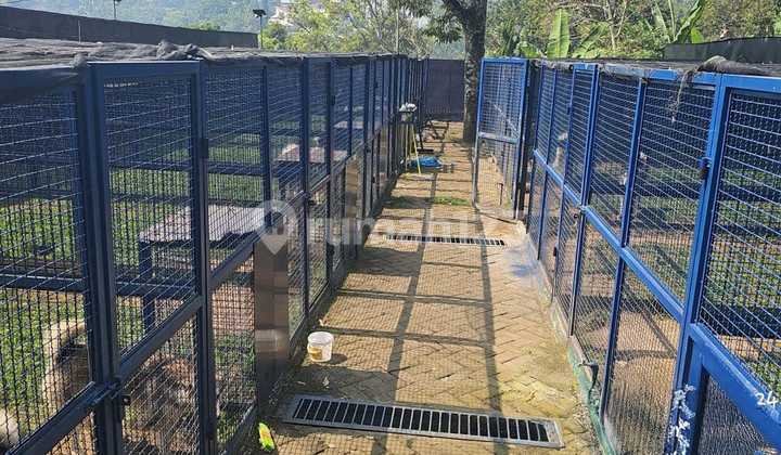 0806.23 Auction House Pasuruan in Prigen on Land Villa Lumbangrejo Village. 2