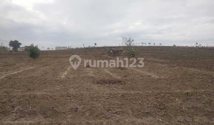 0106,51S Via Auction of Land in Raya Mojosarirejo Gresik Driyorejo