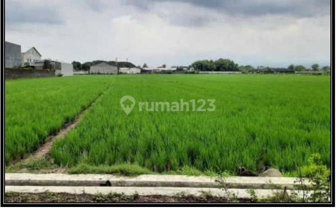 550.1113.16 Lelang Tanah Jombang Di Kel Gambiran Di Mojoagung 2