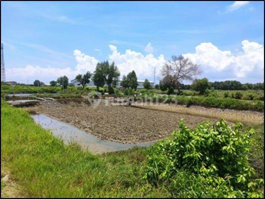 10.1212.29 Lelang Tanah Raya Manyar Gresik Di Betoyoguci Manyar  1