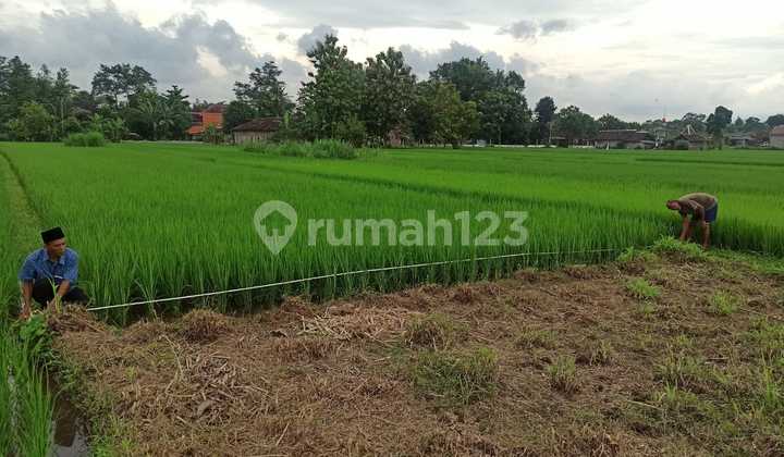 Di Jual Harga Rendah Tanah Di Dekat Candi Boko Di Jual Harga Rendah Tanah Di Dekat Candi Boko