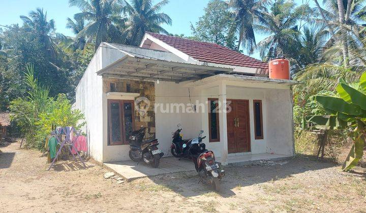 Dijual Harga Rendah Rumah Tanah Luas, Palihan, Temon, Kulon Progo 1