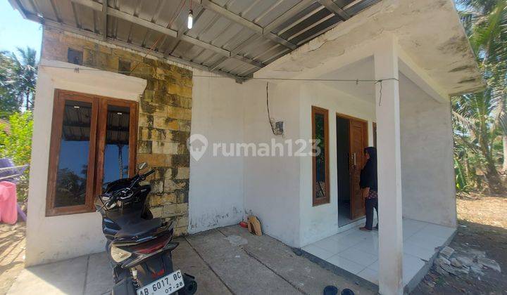 Dijual Harga Rendah Rumah Tanah Luas, Palihan, Temon, Kulon Progo 2