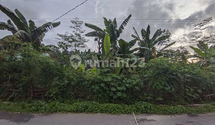 Dijual Tanah Pekarangan Di Kragilan, Sinduadi, Mlati, Sleman Dijual Tanah Pekarangan Di Kragilan, Sinduadi, Mlati, Sleman