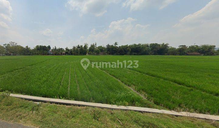 Dijual Tanah Sawah Di Kebon Agung, Imogiri, Bantul Yogyakarta 1