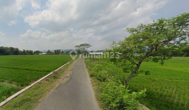 Dijual Tanah Sawah Di Kebon Agung, Imogiri, Bantul Yogyakarta 2