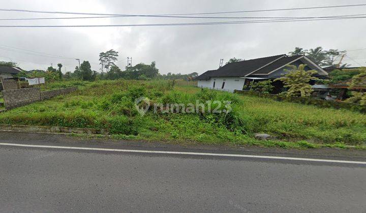 Dijual Tanah Sawah Cocok Untuk Usaha, Kalasan, Sleman, Jogja 1