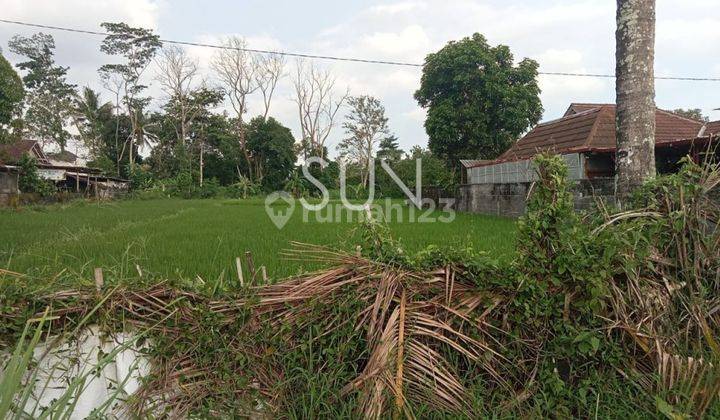 Dijual Tanah Sawah Di Kenayan, Wedomartani, Ngemplak, Sleman 1