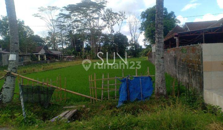 Dijual Tanah Sawah Di Kenayan, Wedomartani, Ngemplak, Sleman 2