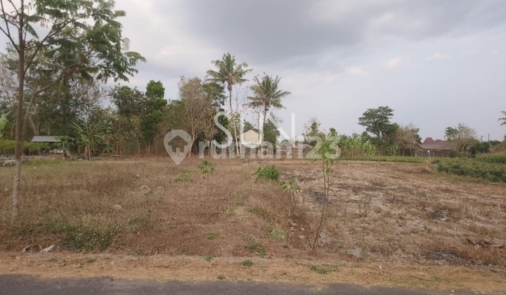 Dijual Tanah Sawah Di Sukoharjo, Ngaglik, Sleman Dijual Tanah Sawah Di Sukoharjo, Ngaglik, Sleman