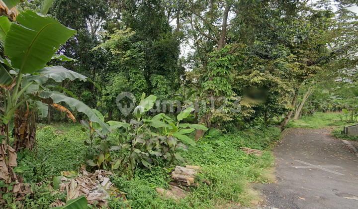 Tanah Komersial Di Sekitar Gor Sleman Jl Radjimin Magelang Tanah Komersial Di Sekitar Gor Sleman Jl Radjimin Magelang