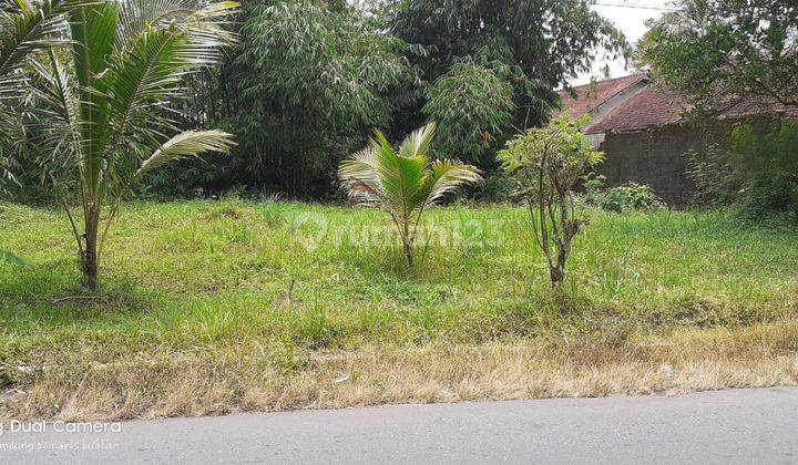 Tanah SHM Pekarangan Di Candibinangun, Pakem, Sleman 2