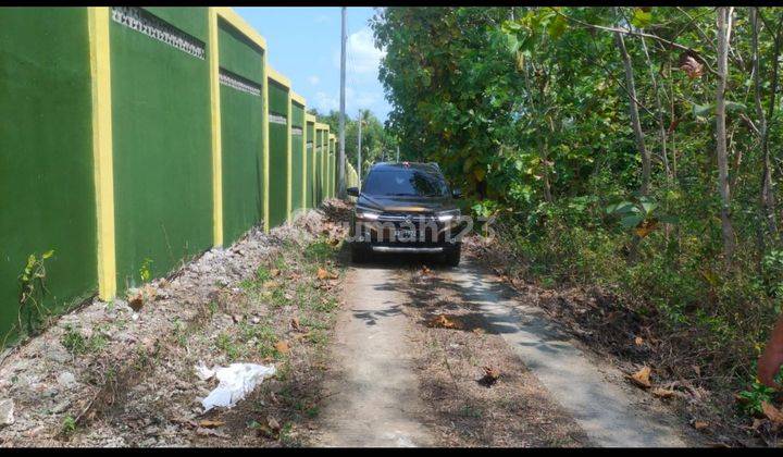  Tanah Pekarangan Dekat Rs Queen Latifa, Sentolo, Kulon Progo