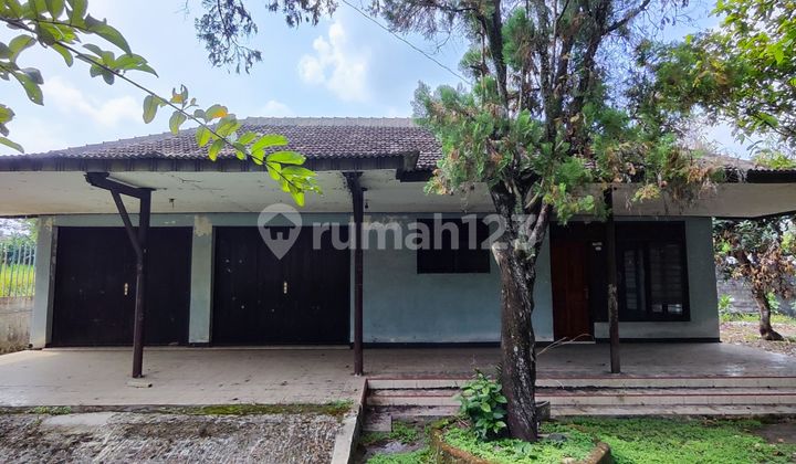FOR SALE OR RENT SPACIOUS HOUSE IN LOR TRIDADI AREA SLEMAN JOGJA FOR SALE OR RENT SPACIOUS HOUSE IN LOR TRIDADI AREA SLEMAN JOGJA