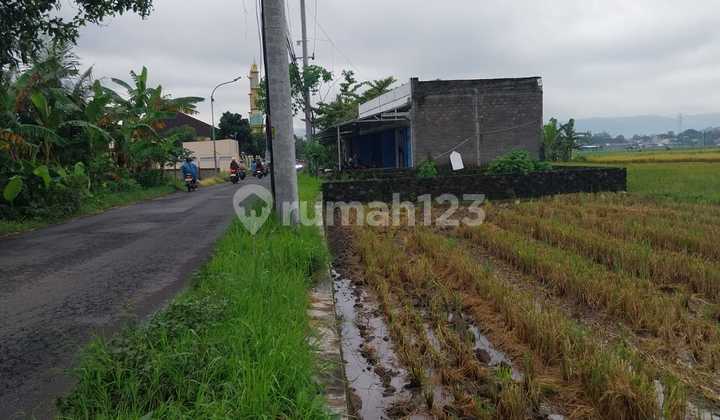 DIJUAL TANAH SAWAH BISA PENGERINGAN BOKOHARJO PRAMBANAN SLEMAN JOGJA