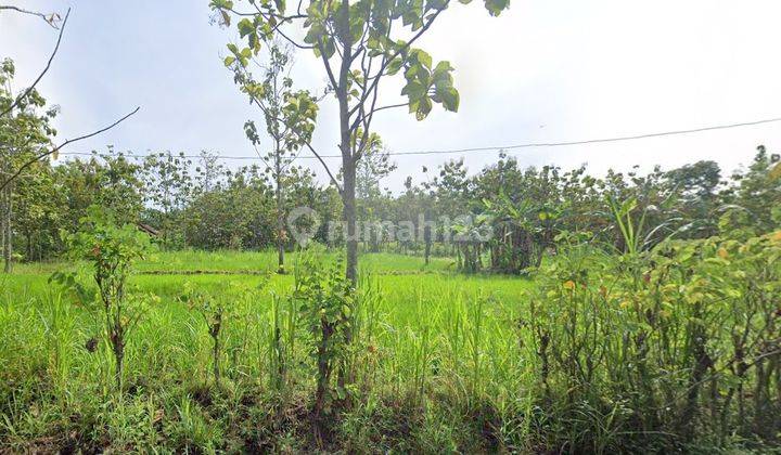 DIJUAL TANAH SAWAH DI JAMBUREJO, BANDUNG, PLAYEN JOGJA 1