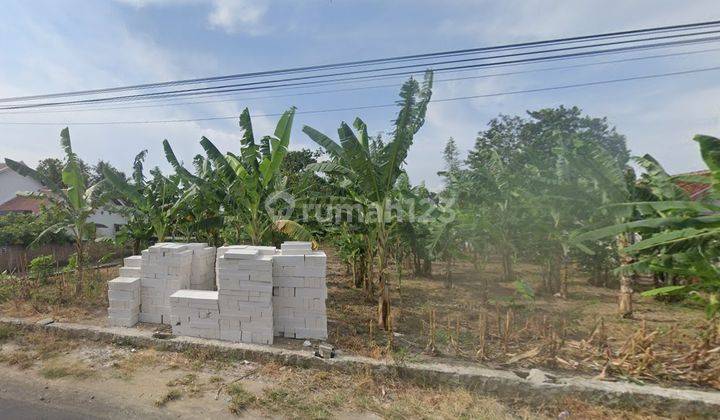 DIJUAL TANAH 3 MUKA DI DEKAT SMPN 1 BAMBANGLIPURO BANTUL  2