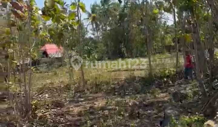 DIJUAL TANAH PEKARANGAN DI PACAREJO, SEMANU, GUNUNG KIDUL DIJUAL TANAH PEKARANGAN DI PACAREJO, SEMANU, GUNUNG KIDUL