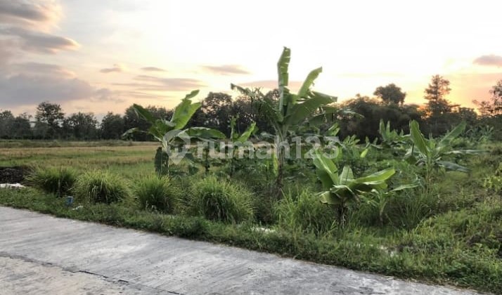 Land Suitable for Restaurant or Cafe, Trihanggo, Gamping, Sleman, Yogyakarta Land Suitable for Restaurant or Cafe, Trihanggo, Gamping, Sleman, Yogyakarta