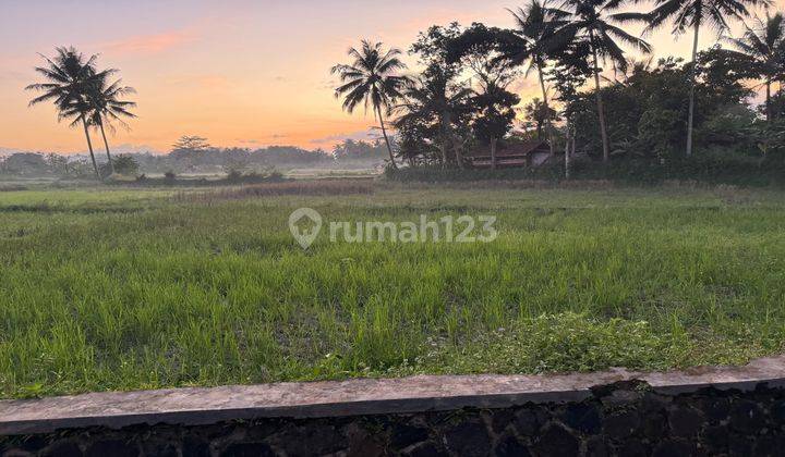 tanah kavling belakang kampus unsil 2 , Tamansari 2