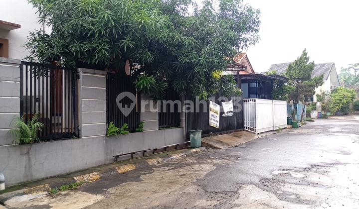 Cheapest House Two Plots Merged into One Sturdy Well-Maintained Building.