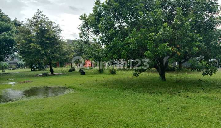 Green Land Car Access Fenced 1265M² Bonus House