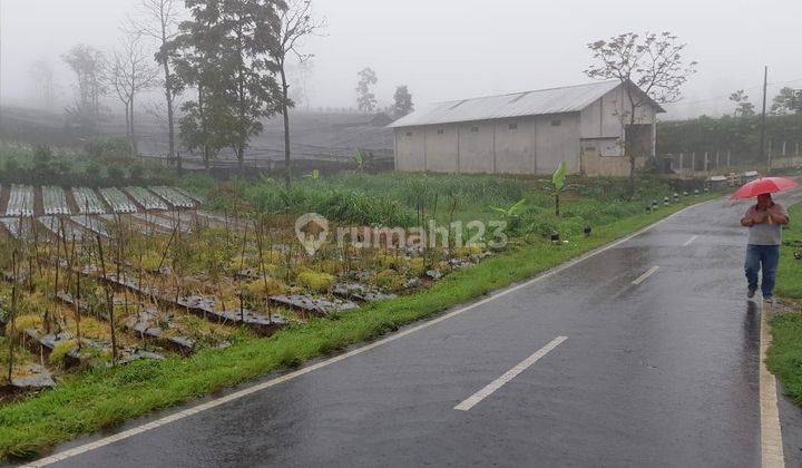 Tanah Darat Pinggir Jalan Bagus Buat Investasi di Magelang Selatan SHM 2