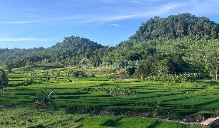 Di jual Tanah murah kavling Nuansa alam Agroeduwisata hanya 39 juta  2