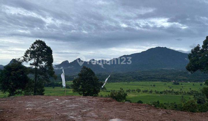 Dijual Tanah Kavling Terbaik Dengan Harga Terjangkau  1