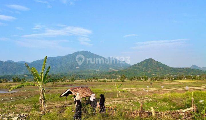 Jual Tanah Kavling Murah Siap Bangun Villa Dan Perkebunan  2