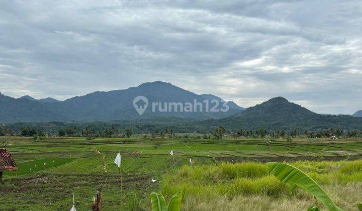 Jual Tanah Kavling Terbaik Dengan View Termegah  1