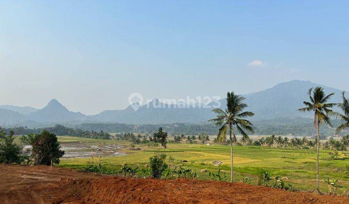 Dijual Tanah Kavling Terbaik Dengan Harga Terjangkau  1