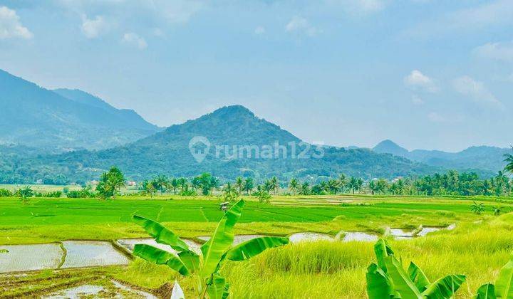 Jual Tanah Kavling Terbaik Dengan View Termegah  1